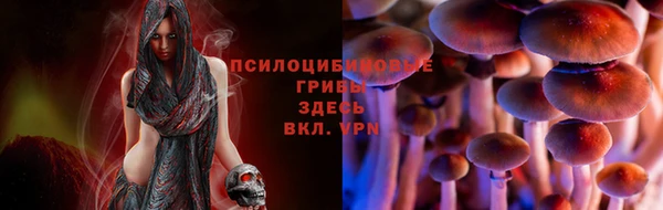 винт Алексеевка