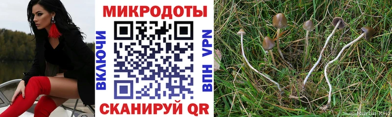Галлюциногенные грибы мицелий  Котово 